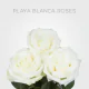 White Box Playa Blanca 60 cm (100 St)