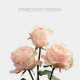 Peach Garden Princess Crown 60 cm (25 St bunch)