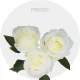 White Proud Roses 40-60 cm