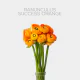 Flowers Ranunculus Orange (10 St bunch)