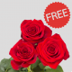Red Freedom Roses 50 cm (25 st bunch)