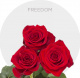 Red Freedom Roses 40-70 cm