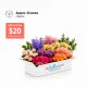 Small Box Bellevue 50 stems capacity