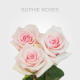 Light Pink Sophie Roses 60 cm (25 St bunch)