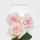 Light Pink Sophie Roses 50 cm (25 St bunch)
