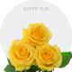 Box Yellow Super Sun Roses 40 cm (100 St)