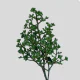 Tropical Flowers Eucalyptus Fresh Doll Stem (3 Stem bunch)
