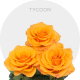 Orange Tycoon Roses 40-60 cm