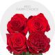 Box Assorted Red Roses 60 cm (100 St)
