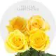 Box Assorted Yellow 60cm (100 St)