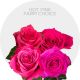 Box Assorted Hot Pink Roses  60 cm (100 St)