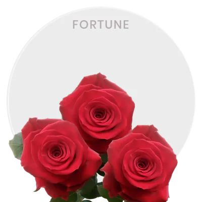 Fortune