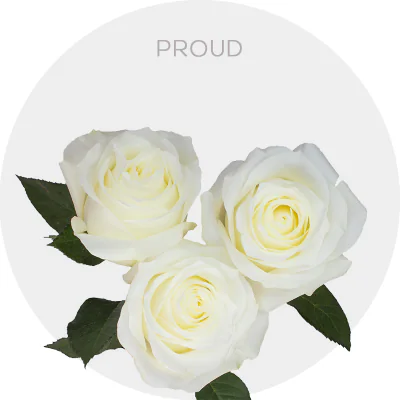 Proud