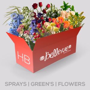 HB: Sprays+Greens+Flowers