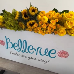 Yellow Vibes Box (100 St)