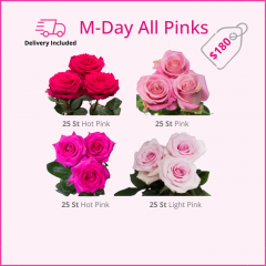 M-DAY ALL PINKS 50 cm (100 St)