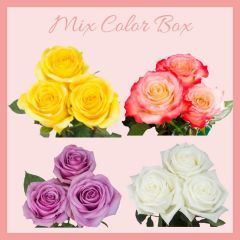 V-Day Mix Color Box 100 Stems