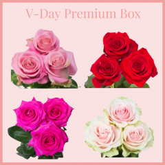 V-DAY PREMIUM BOX 50 cm (100 Stems)