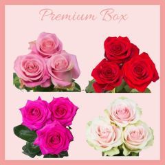 V-DAY PREMIUM BOX 50 cm (100 Stems)