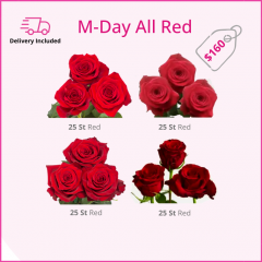 M-DAY ALL RED 50 cm (100 St)