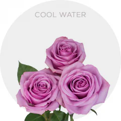 Cool Water