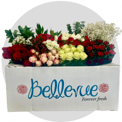 Medium Christmas Flower Box (175 St)
