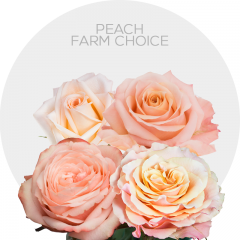 Box Peach Roses Assorted 40-60 cm