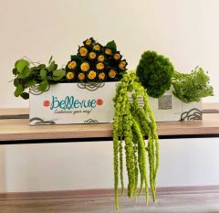 V-Day All Pink 50 cm (100 Stems)