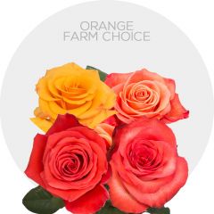 Farm Choice Orange