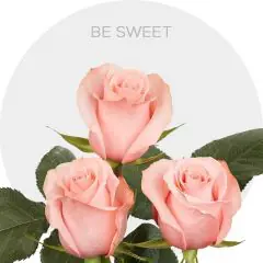 Be Sweet 