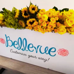 V-Day All Pink 50 cm (100 Stems)