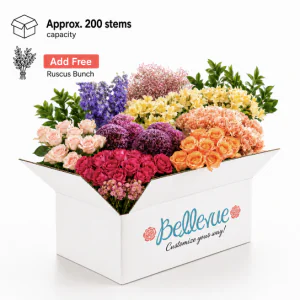 Large Box by Bellevue