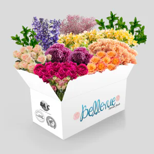 Large Size Box
