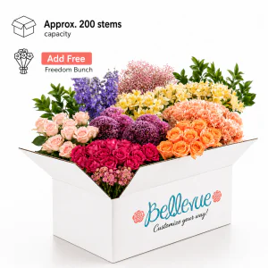 Large Size Box