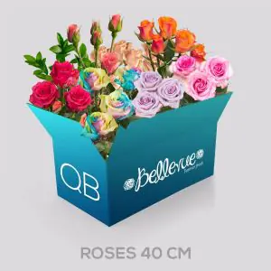 QB 40 cm