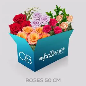 QB 50 cm