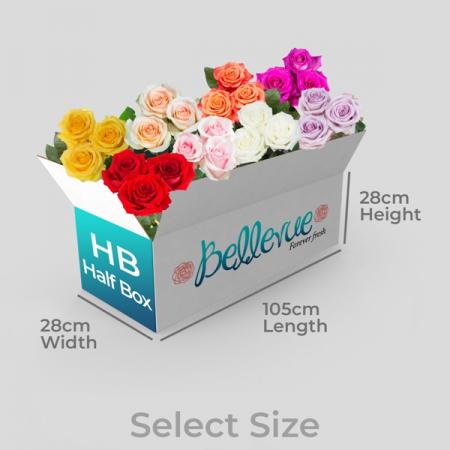 Box Dimension of Bellevue Roses Wholesale