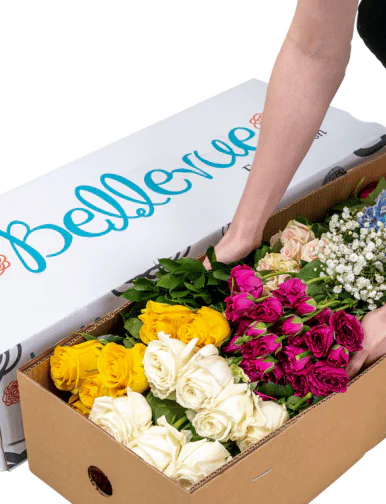 FedEx Shipping for all BELLEVUE ROSES products