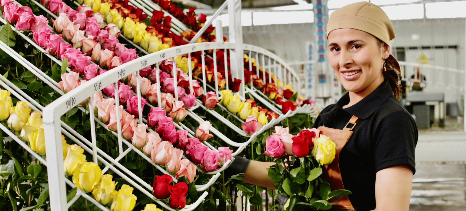 Customize Your Box by BELLEVUE ROSES 