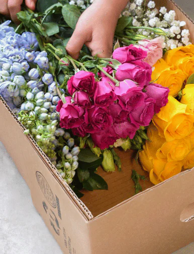 Customize your box with bunches with BELLEVUE ROSES