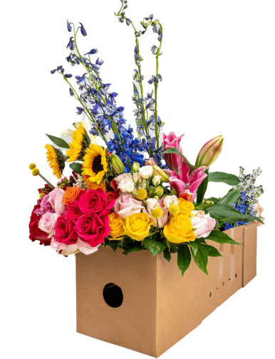 Build your flower box