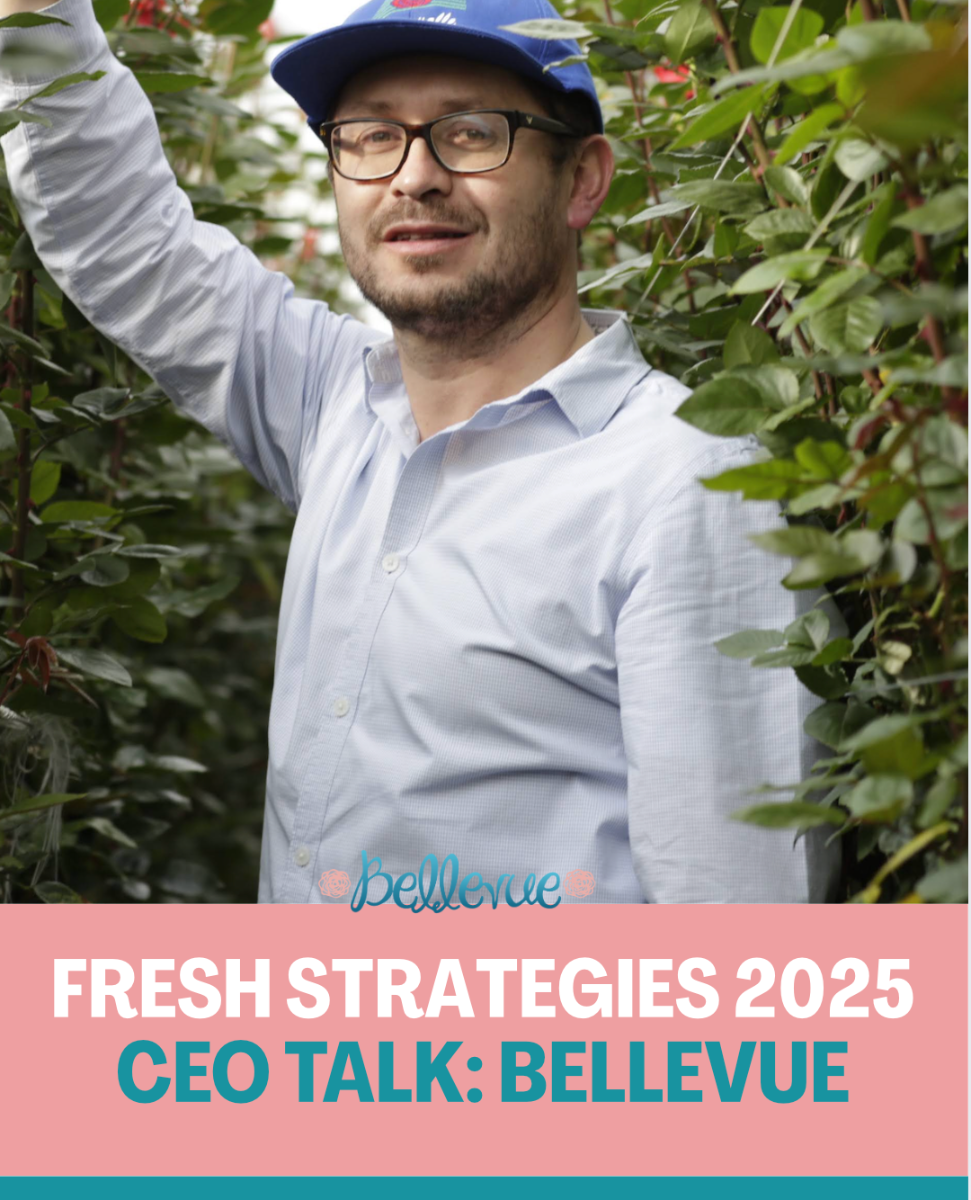 Juan Torri, CEO Bellevue Roses