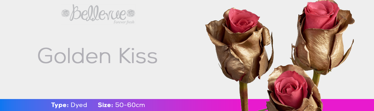 Golden Kiss Dyed Roses | Belleveuroses.com
