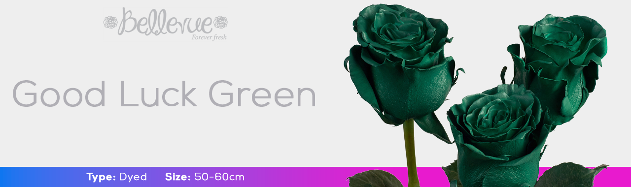 Good Luck Green Dyed Roses | Bellevueroses.com