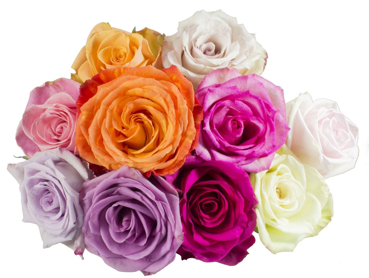 Last-Minute V-Day Sale