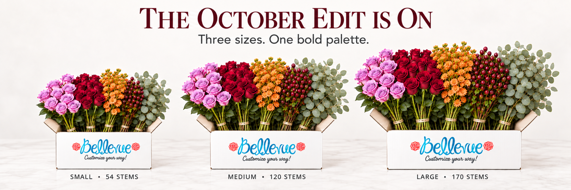 The October Edit by Bellevue