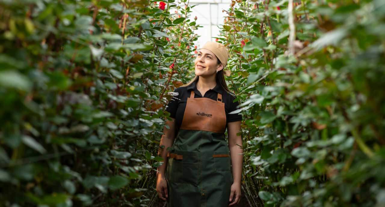 Bellevue Roses at the Wedding MBA 20244 Convention