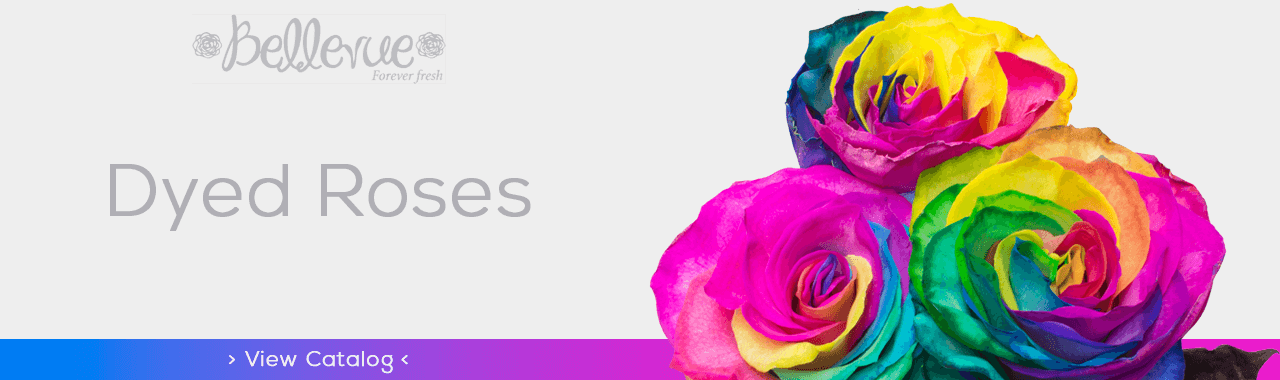 Dyed Roses by Bellevue Wholesale