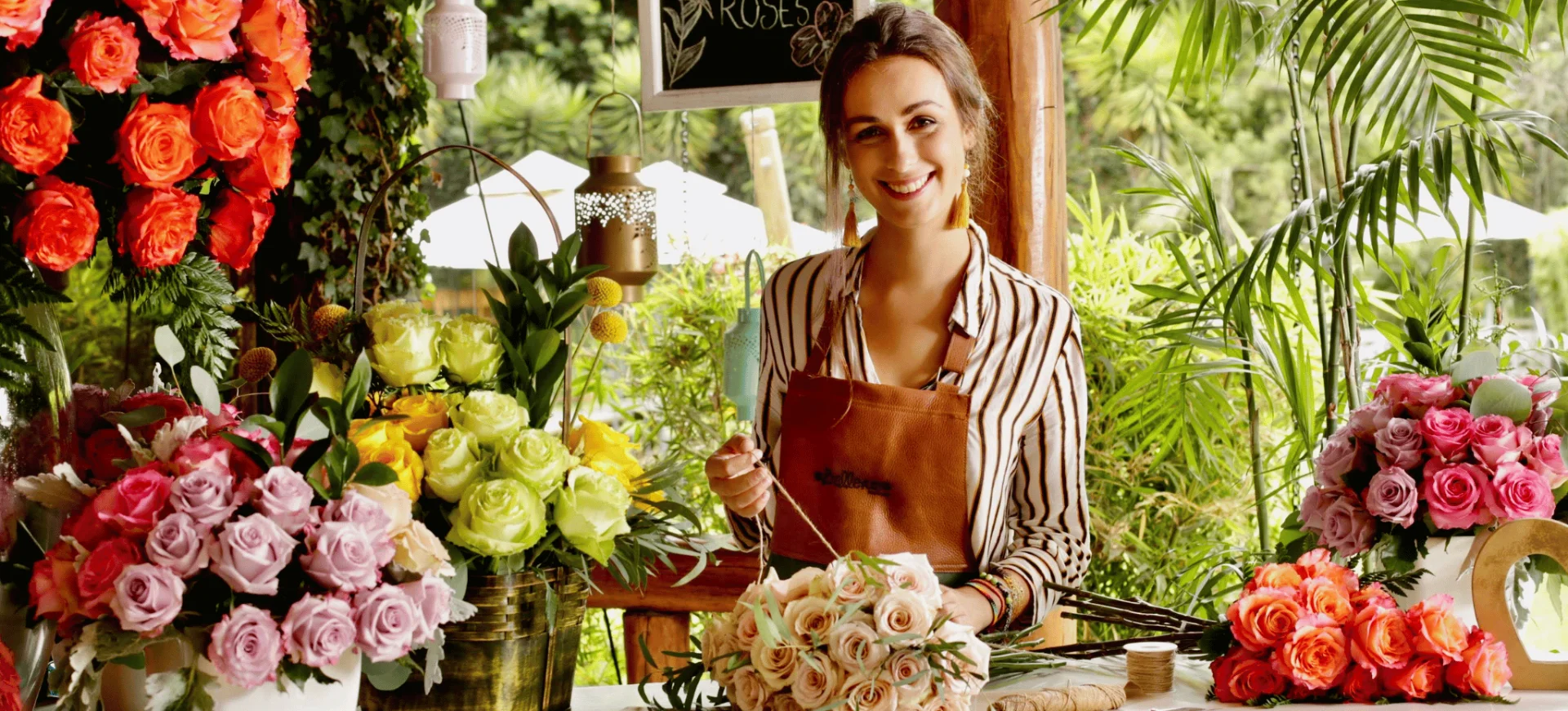 Bellevue Roses Wholesale